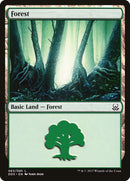 Forest (