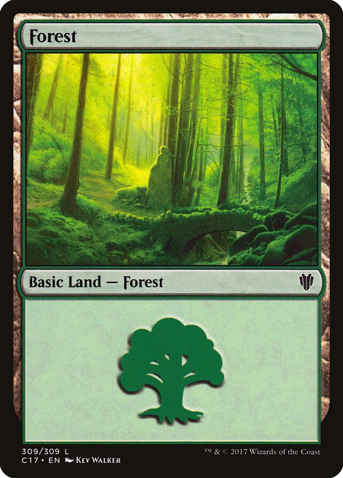 Forest (