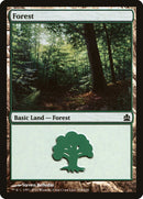 Forest (