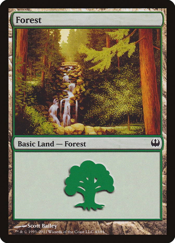 Forest (