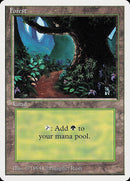 Forest (