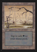Swamp (