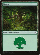 Forest (