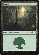 Forest (