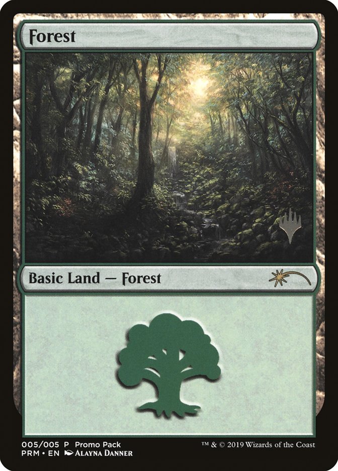 Forest (
