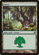 Forest (