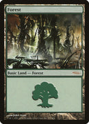 Forest (