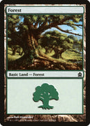 Forest (