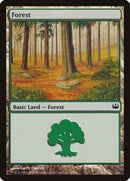 Forest (
