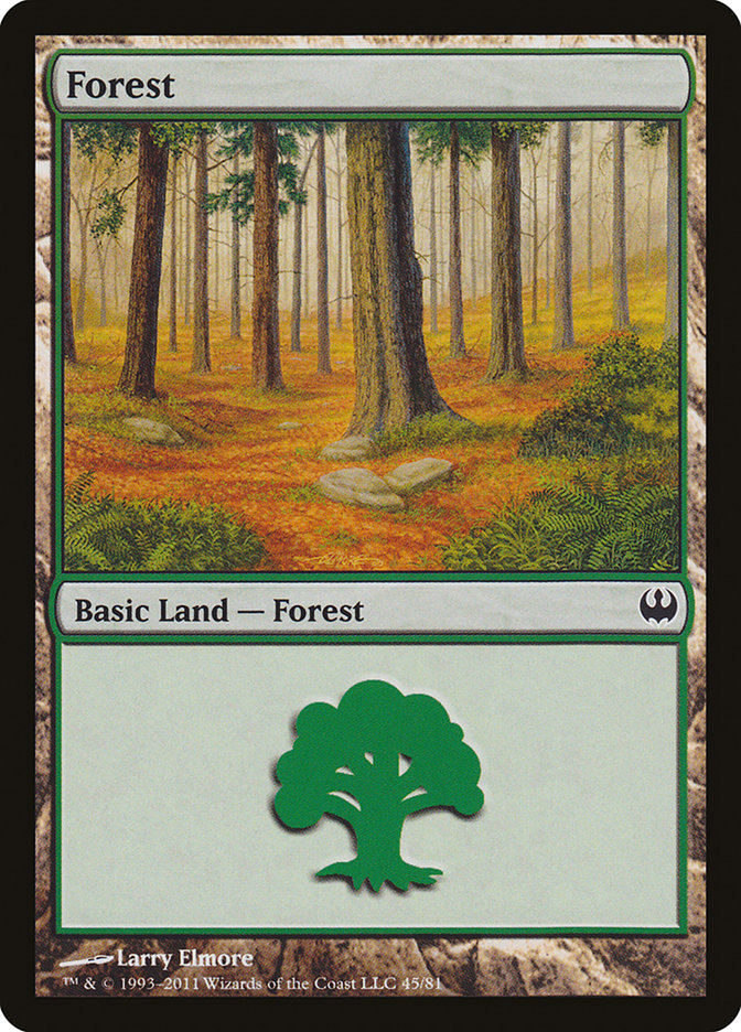 Forest (