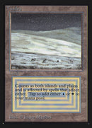 Tundra (CE) [Collectors’ Edition]
