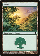 Forest (