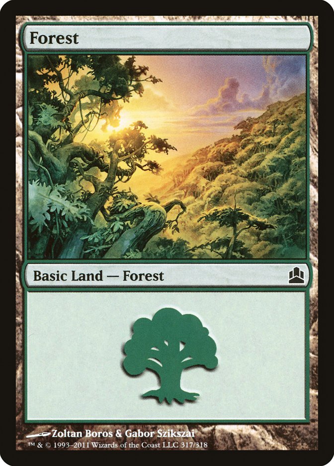 Forest (