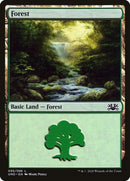 Forest (