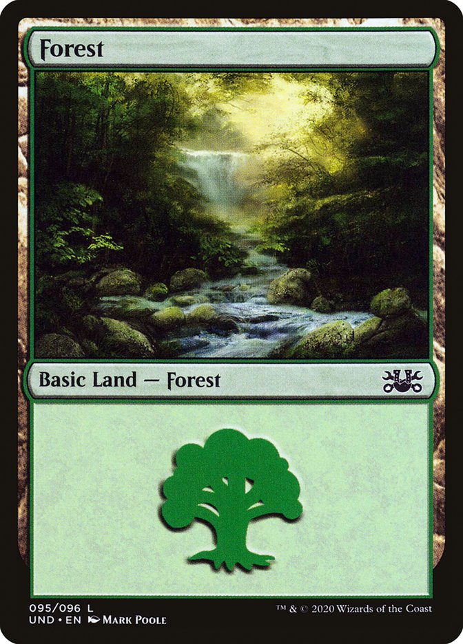 Forest (