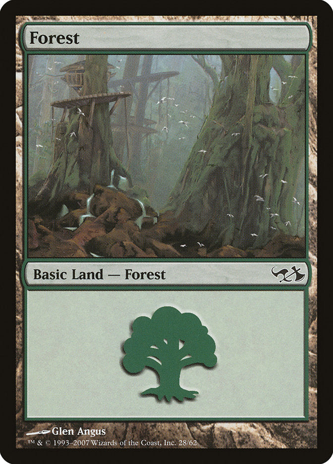 Forest (