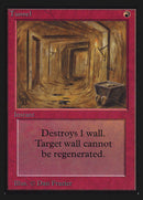 Tunnel (CE) [Collectors’ Edition]
