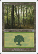 Forest (