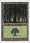 Forest (