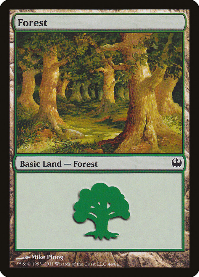 Forest (