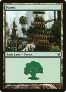 Forest (