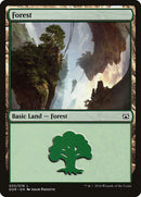 Forest (