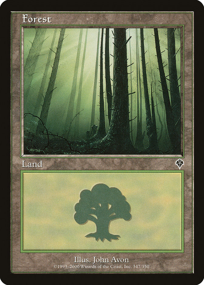 Forest (