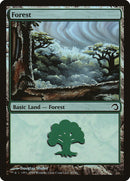 Forest (