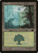 Forest (