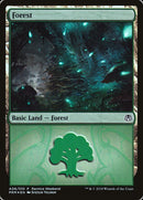 Forest (