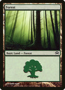Forest (