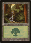Forest (
