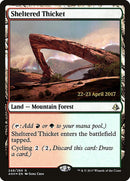 Sheltered Thicket  (Prerelease) [Amonkhet Prerelease Promos]
