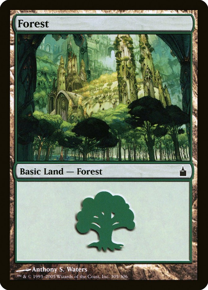 Forest (