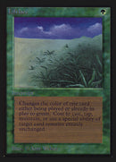 Lifelace (CE) [Collectors’ Edition]