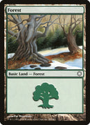 Forest (