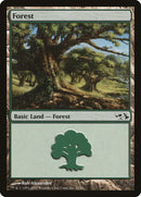 Forest (