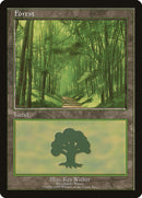 Forest (