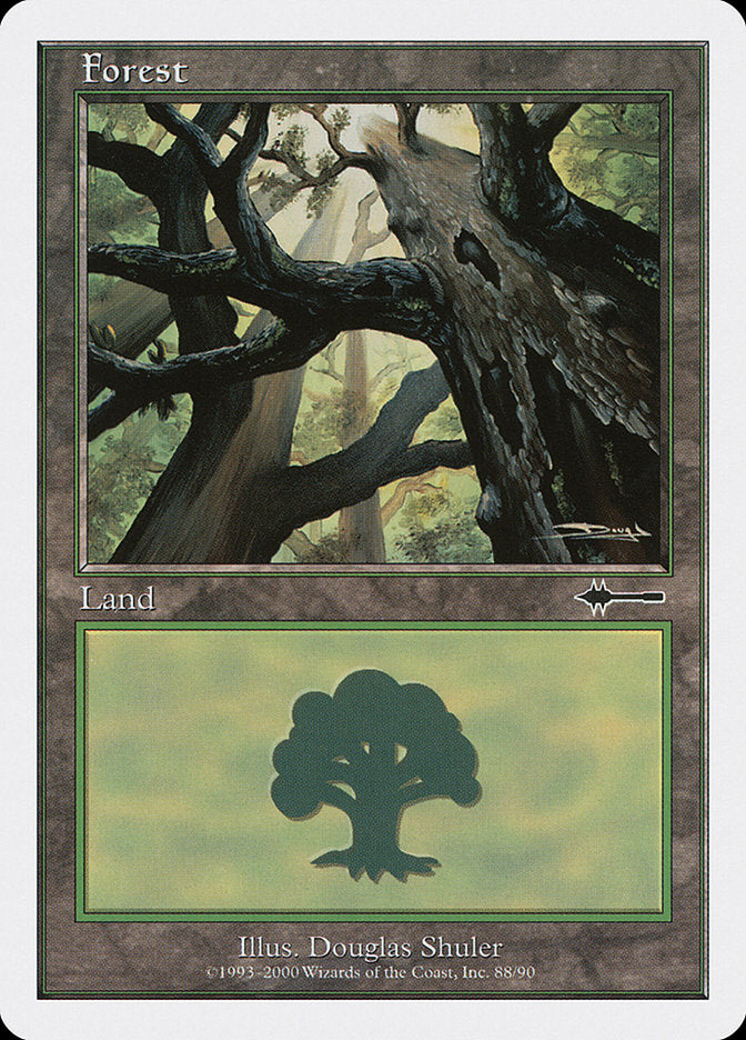 Forest (