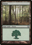 Forest (