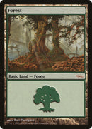 Forest (