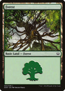 Forest (