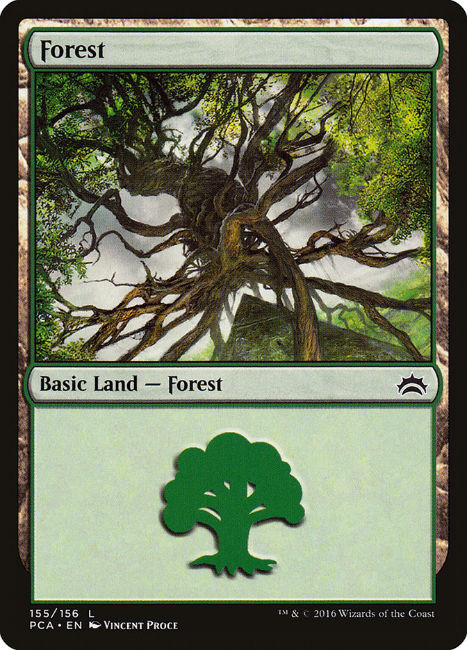 Forest (