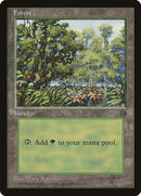 Forest (