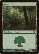 Forest (