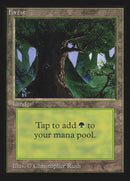 Forest (