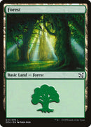Forest (
