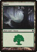 Forest (