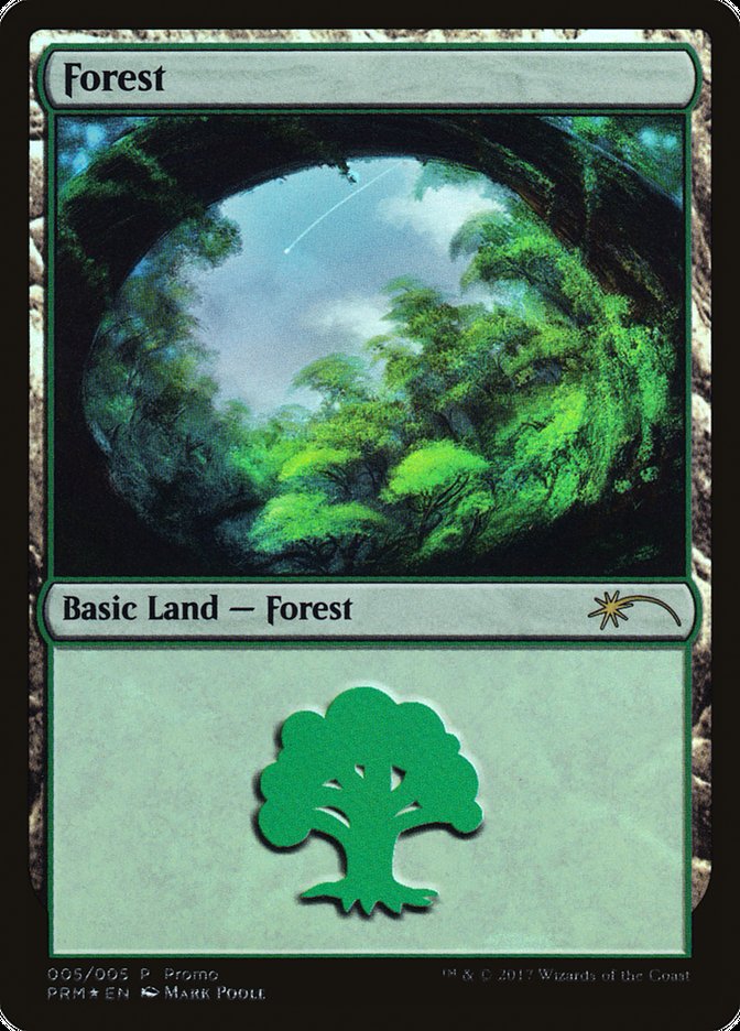 Forest (