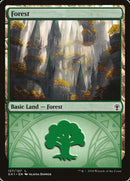 Forest (